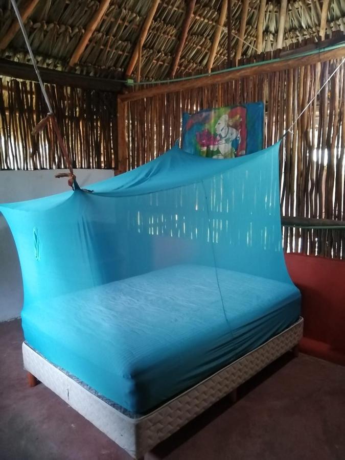 Apartament Malinche Cafe In Coba Tulum Zewnętrze zdjęcie