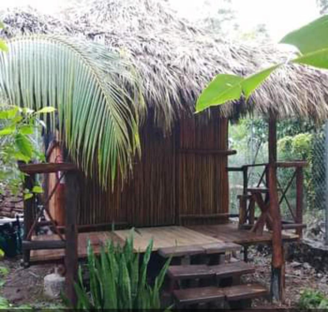 Apartament Malinche Cafe In Coba Tulum Pokój zdjęcie